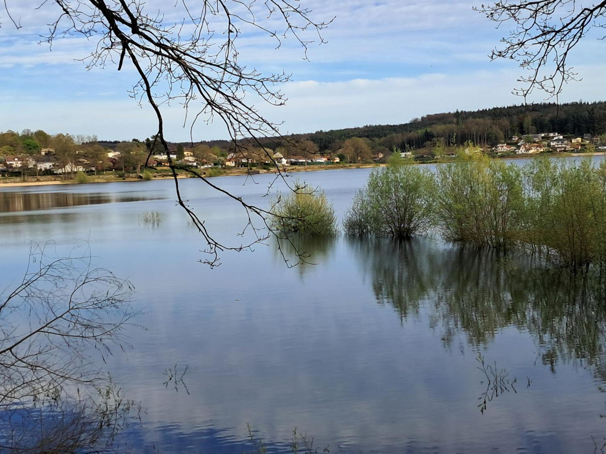 Grand Gite Des Pins Chaumousey Bagian luar foto